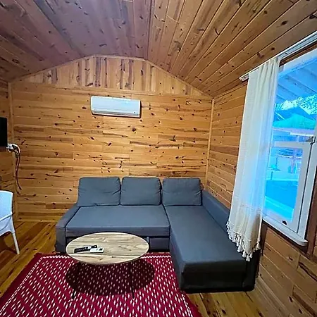 Lime Tree
